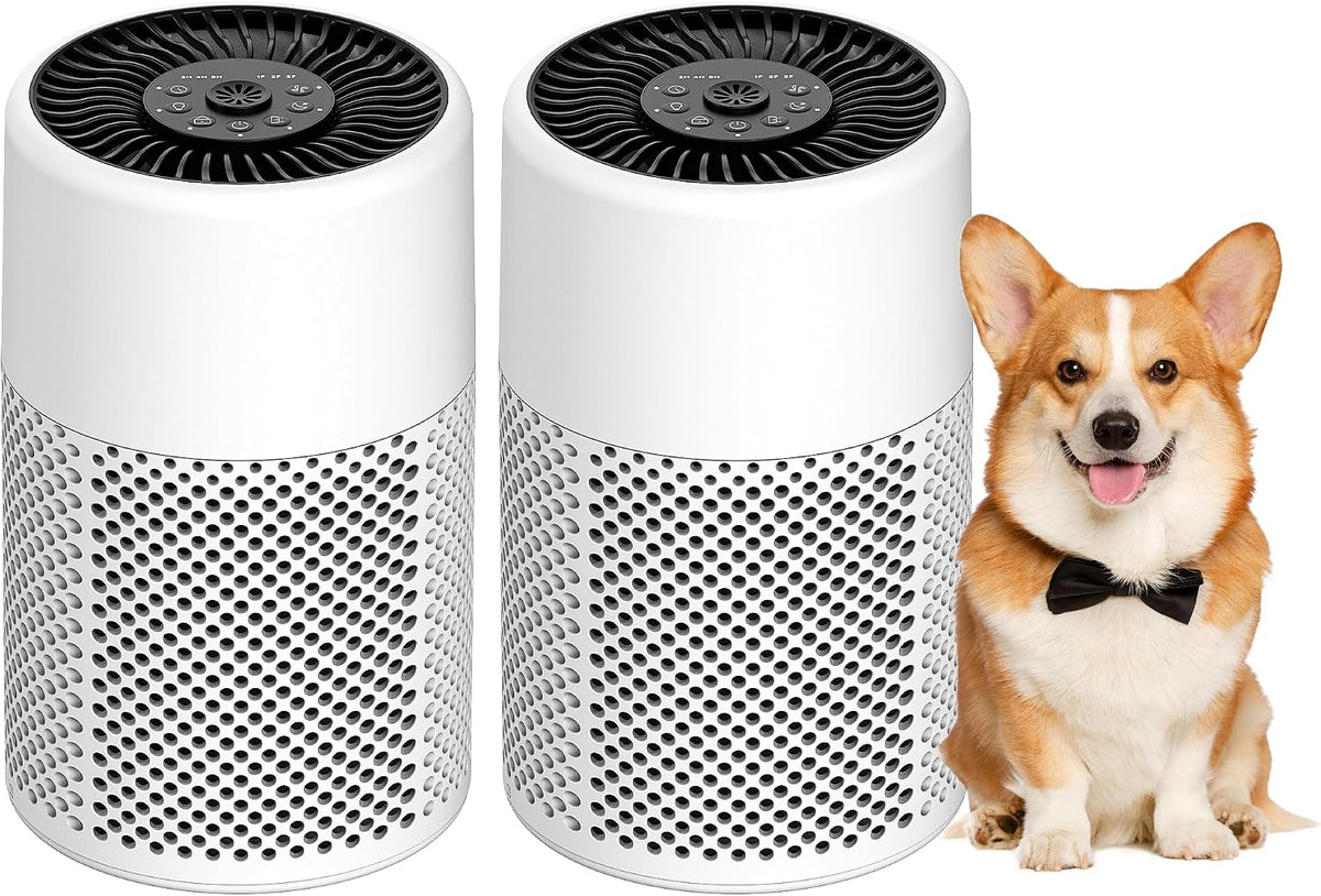 Compact Bedroom Air Purifier with Replaceable Filter